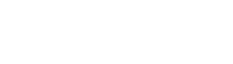 Gabe Nelson Financial Logo